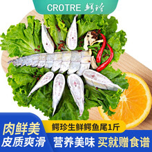 鳄珍鳄鱼尾新鲜水产现杀顺丰冷链运输网红食材扫码可溯源含食谱 鳄鱼尾巴 500g/1包