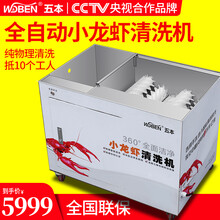 五本商用物理清水洗虾机仿人工毛刷洗小龙虾清洗机夜宵大排档专用 洗虾机
