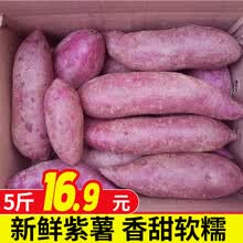 【平价菜场】农家紫薯地瓜 小香薯香芋香甜软糯 新鲜蔬菜 5斤小果优选（买2件合并发9斤）