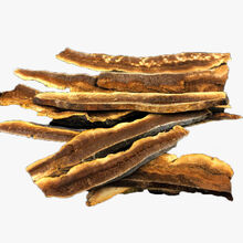 无柄灵芝长白山深山纯赤灵芝活体灵芝干可切片 野生无柄灵芝100克切片