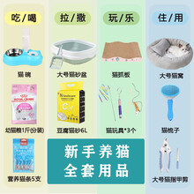猫咪用品新手养猫必买套装幼猫全套猫砂盆猫碗猫窝猫厕所养猫套餐 养猫用品全套大号蓝-6斤以上猫