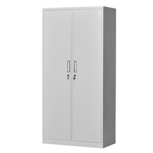 思进 二门钢制铁皮柜更衣柜员工寄存包柜 办公储物柜SJWJ-017