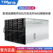 拓普（TOPAVID）SRB8L8548G-48盘50G万兆光纤磁盘阵列 影视制作万兆共享网络存储 标配国行672TB企业级存储容量（五年保修）