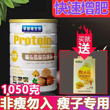 增肥增胖成人儿童猴头菇片可配乳清蛋白增肥奶粉增肌长胖药益生菌冻干粉增重食品零食增肥药瘦人快速长肉产品 一盒装