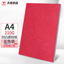 天章(TANGO)A4凹凸皮纹纸/封面纸/压纹纸/云彩纸/封皮纸 彩色卡纸标书封面硬厚手工卡纸 5色装 210克100张/包