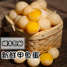 【顺丰】甲鱼蛋食用新鲜王八乌龟蛋水鱼蛋老鳖蛋 姬美食尚 120枚大约1斤