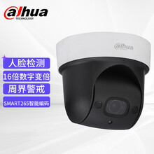 大华摄像头 200万球机 插卡变焦录音摄像头1080P有线+无线WIFI/4倍变焦/云台旋转 DH-SD-29D204UE-GN-WD