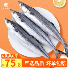 名扬湖海 国产海捕深海冷冻新鲜海鲜水产冷冻生鲜 鱼类 健康轻食 鲅鱼6条装（净重4.5-5斤）