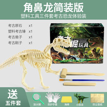 恐龙化石霸王龙骨架模型儿童手工diy制作挖宝石宝藏考古挖掘玩具 【简装】角鼻龙-肉食性