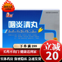 丁教授 咽炎清丸0.3g*40丸 2盒装