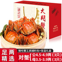 大闸蟹全公母六月黄螃蟹镇海鲜水产生鲜 对蟹：公4.5两+母3.5两(3对)