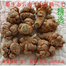 康中尊 文山三七20头30头40头80头云南春仿野生种植田七切片打超细粉 20头20个无剪口三七500克