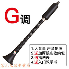 巴乌乐器竖吹专业演奏小学生初学入门大音量G/F调 单管乐器 G调+包+指法表+入门教学书