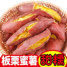 【超低价】板栗红薯新鲜黄心蜜薯现挖地瓜番薯新鲜蔬菜10斤2斤 板栗薯【净重5斤大果】