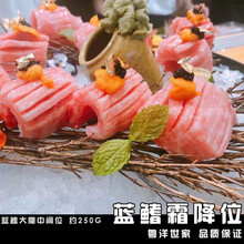 【蓝旗大腹霜降位】金枪鱼新鲜刺身大脂O-toro大腹鱼腩超低温250g