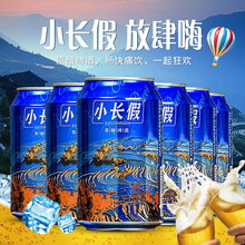 小长假  黄啤国产8度麦香浓郁 易拉罐装 320ml*6罐