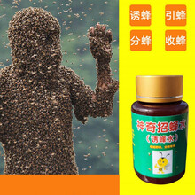 神奇招蜂水引蜂水诱蜂水收蜂水诱蜂液收捕野蜜蜂蜂王信息素诱蜂蜡 黑瓶招蜂水1瓶装(送蜂蜡2个)