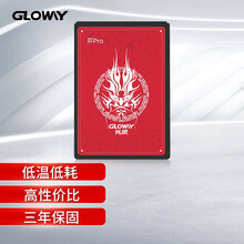 光威（Gloway）长江存储 512GB SSD固态硬盘 SATA3.0接口 弈Pro系列-国产颗粒/国产崛起