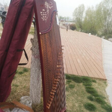 考级演奏古筝琴标准尺寸古筝初学者成人入门演奏筝全套配件 163兰香琴韵 裸琴