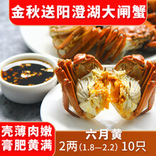 【活蟹】蟹滋煌 阳澄湖六月黄大闸蟹鲜活现货 苏州河蟹湖蟹清水螃蟹 生鲜螃蟹水产礼盒送礼现捕现发 六月黄1.8~2.2两10只