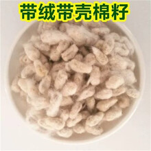当年棉籽 棉花籽 棉籽仁 棉花种子 棉仁 棉子 带绒带壳棉籽1斤