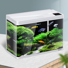 【多仓发货】博宇生态金鱼缸变色水族箱客厅小型迷你造景水草灯乌龟缸草缸免换水办公室孔雀热带鱼 白60长32宽47高 智能液显变色 标配（变色灯光系统+过滤系统）