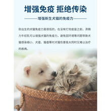 美国添赐力牛初乳猫咪狗狗天赐力营养补充剂提高存活率 15ml-顺丰买就冻干(23.1)