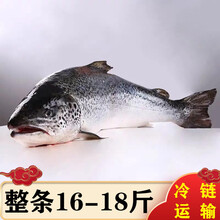 三文鱼冷冻新鲜整条三文鱼刺身寿司生鱼片食材可帮分割 生鲜 艾黎迪尚 冷冻16-18斤/条