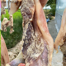 红允1斤/5斤南部县五花肉风干腊肉农家自制腌肉咸肉耳朵排骨舌头四川 2.5kg 风干腊肉