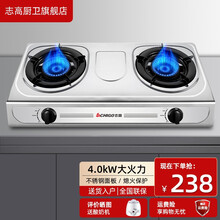 志高（CHIGO）台式燃气灶双灶家用不锈钢液化气灶天然气灶厨房用台式炉具单灶双灶猛火灶台 双灶 液化气