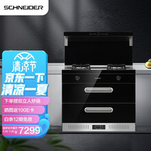 SCHNEIDER法国 集成灶一体灶 19立方大吸力 挥手感应侧吸抽油烟机烟灶套装 家用保洁柜款天然气JJZT-WXA-S2