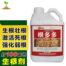 根多多 生根剂快速生根粉扦插迅速发根多多壮根素果树苗木通用营养液 【升级版根多多】1000克1瓶