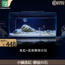 小米小佩起源纪鱼缸超白玻璃水族箱桌面客厅家用小型造景生态金鱼缸 鱼缸+景1（静寂の石）