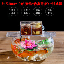 客厅创意小型鱼缸迷你乌龟缸玻璃鱼缸圆形家用金鱼缸办公桌面摆件 白色 肚经20过滤器