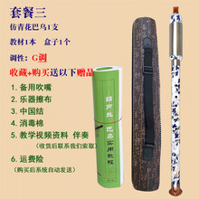 杉贝 SHANBEI 傣艺竖吹巴乌小学生初学入门抖音同款 套餐三:竖吹仿青花G调巴乌+教材+皮盒+