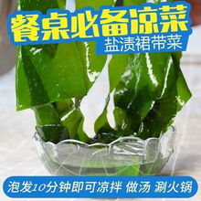 盐渍裙带菜海白菜海藻海带凉拌菜麻辣烫火锅食材产地直供 5斤装【精品裙带菜】
