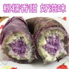 冰淇淋红薯新鲜红蜜薯超甜糖心地瓜小红薯红心沙地一点红番薯 【实发3斤】中果