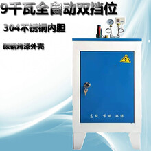 全自动电热蒸汽发生器节能锅炉服装熨烫豆浆蒸煮酿酒汗蒸消毒养护标努 9/kw不锈钢内胆款
