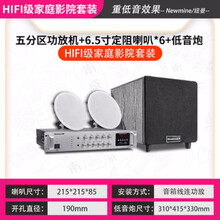 纽曼吸顶式5.1家庭影院音响电视家用客厅吊顶音箱吸顶喇叭舞蹈室3d环绕立低音炮HIFI 专业功放+6个6.5寸高音喇叭+低音炮