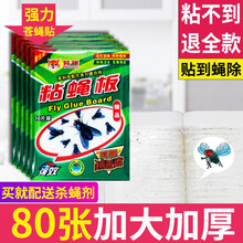 粘苍蝇纸大号 苍蝇贴自带诱饵粘蝇纸大号挂粘绳强力诱蝇粘蝇胶力灭蝇纸捕蝇 10片 自带诱蝇剂