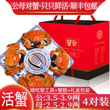 【活蟹】【公母对蟹】阳澄西湖大闸蟹鲜活现货生鲜螃蟹类海鲜水产礼盒装 公：3.5两+母：2.5两（4对）