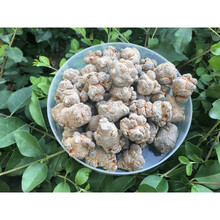 康中尊 云南文山三七20头30头40头18春田七500g圆头可代磨粉片狮子头 50头55个无剪口500克