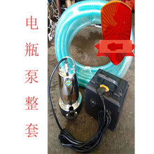 电瓶泵整套12V24V48V电瓶泵直流潜水泵充电泵一整套定制 12V7米线126单个泵