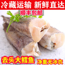 鳕鱼整条海鲜水产冷冻无头鱼银狭鳕鱼东北明太鱼海鱼生鲜 艾黎迪尚 【十斤】酒店