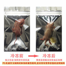 冰冻乳鼠宠物粮爬宠饲料冷冻小白鼠红皮粉皮白霜冻干独立包装 乳鼠(26只)(顺丰)