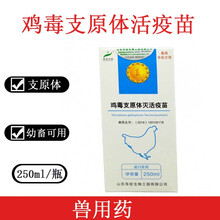 华宏鸡毒支原体灭活疫苗滑液囊支原体鸡慢性呼吸道疾病 易邦鸡毒支原体活苗一盒10瓶价格
