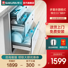 樱花（SAKURA）ZTD110-202消毒柜嵌入式碗筷家用小型台式高温消毒橱柜 110L（二星消毒）