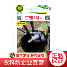 北京农科院京研甜瓜辣椒黄瓜羊角蜜豇豆角籽娃娃菜快菜白菜油菜菠菜籽生菜西瓜南瓜红根韭菜蔬菜种子四季种植 圆茄子京茄1号50粒