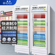 【雪花官方店】雪花商用冰柜冰箱展示柜保鲜柜立式冷藏柜商用冷藏展示柜饮料柜冷柜陈列柜商用立式冰柜 单门展示柜(铜管)