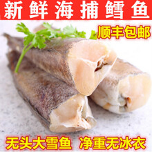 鳕鱼新鲜冷冻无头鱼狭鳕鱼去头明太鱼大棒鱼柴鱼海鲜水产深海鳕鱼 普米加罗 四斤装